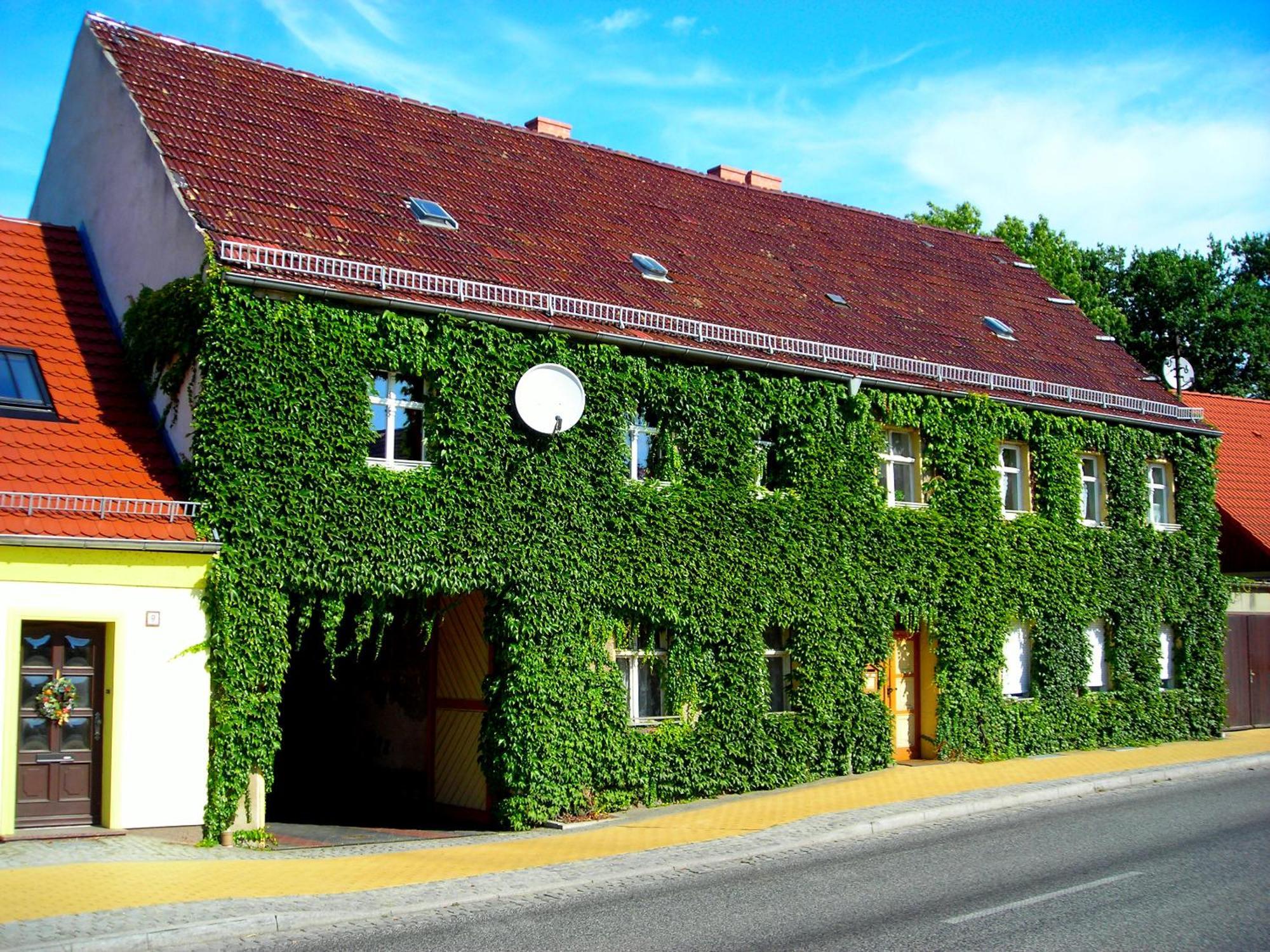 Ferienwohnung Auf Ehem. Alten Bauernhof Liebenwalde Dış mekan fotoğraf