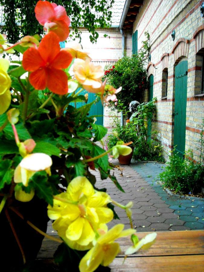 Ferienwohnung Auf Ehem. Alten Bauernhof Liebenwalde Dış mekan fotoğraf